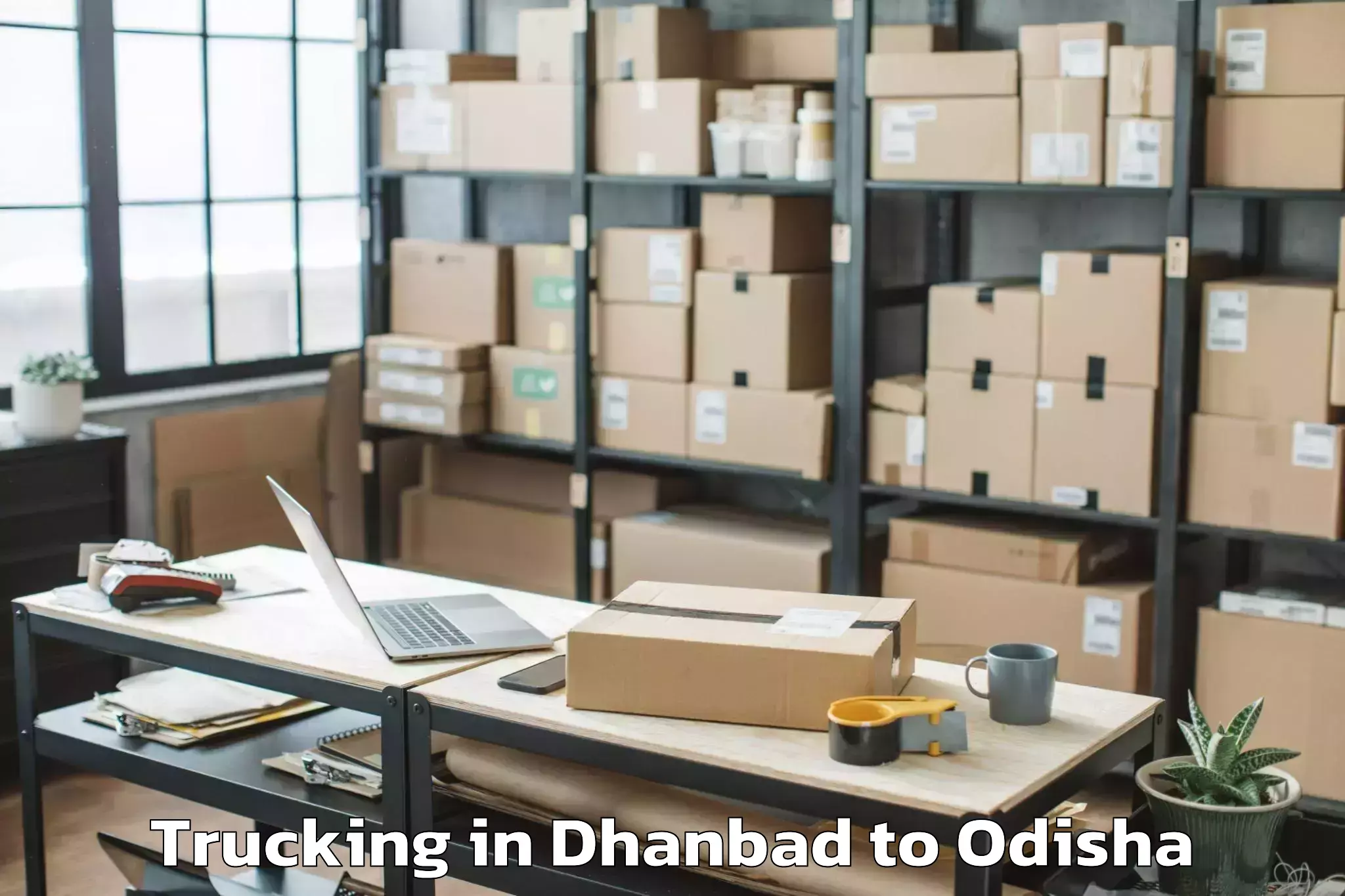 Book Dhanbad to Athagad Trucking Online